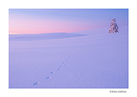 paysage du jura en hiver