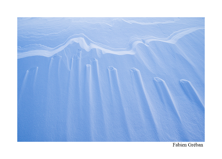 photo d'empreintes de renards sur la neige