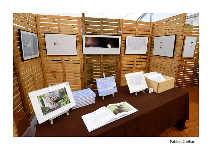 exposition de photographie animalière - Fabien GREBAN
