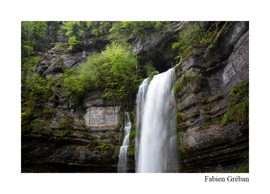le milieu du cincle plongeur